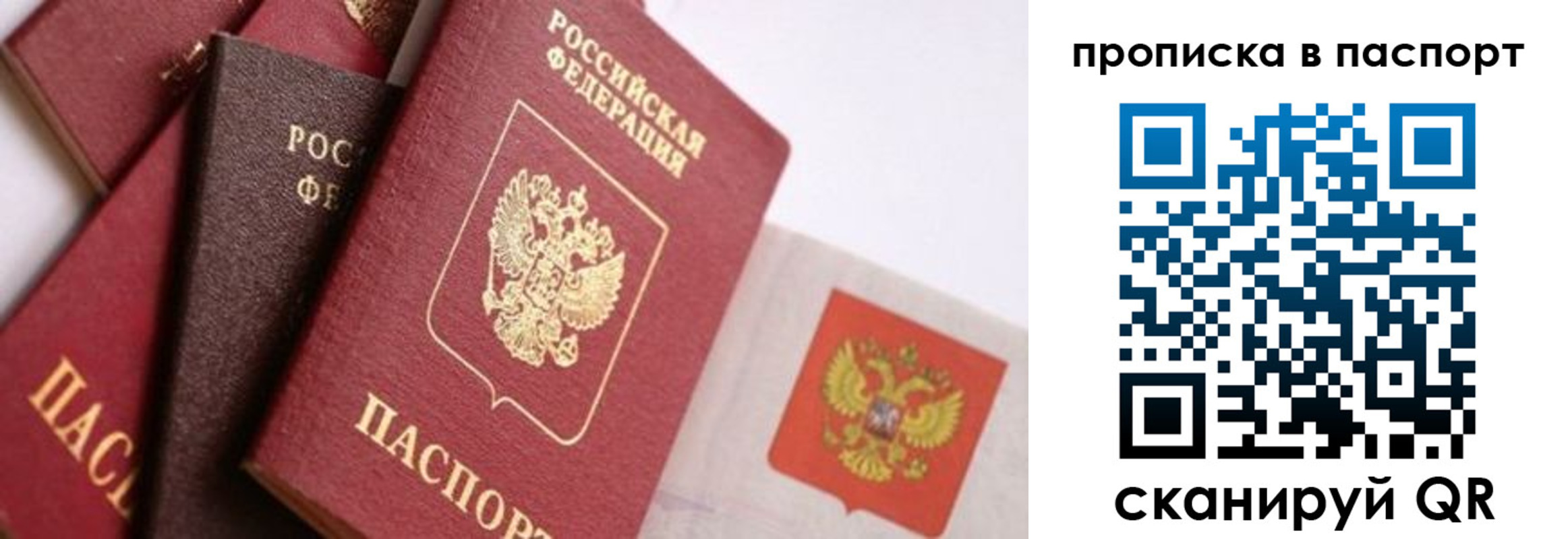 прописка штамп в Черноголовке